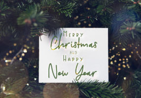 Merry Christmas and Happy New Year text, card concept. Holiday background with white card in the middle of evergreen tree branches, christmas and festive season idea, minimalistic design